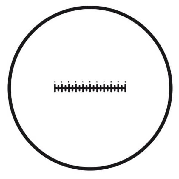 Motic schaalverdeling (10mm in 100 delen), (Ø 25mm)