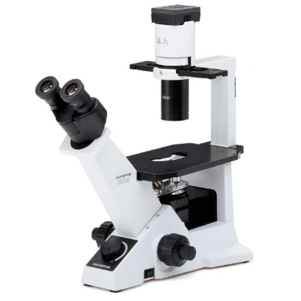 Evident Olympus Inverted microscope CKX31 Bright Field, Hal, bino, 40x, 100x, 200x, 400x