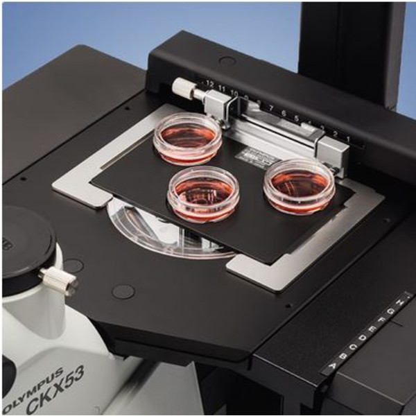 Evident Olympus Microscopio invertito Olympus CKX53 Hellfeld V2, trino, infinity, plan, achro, 2x, 4x, 10x, LED