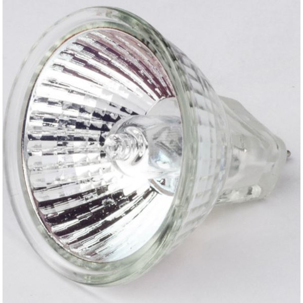 Motic Halogeenlamp, vervanging, 21V/10W, invallend licht, voor R2GG-statief (SMZ-161)