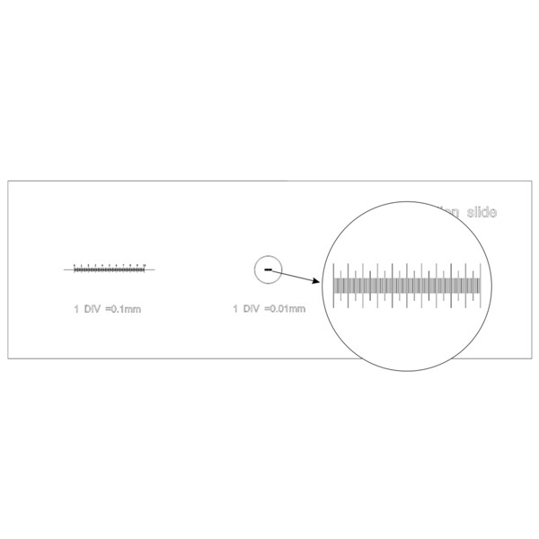 Levenhuk Calibration Slide