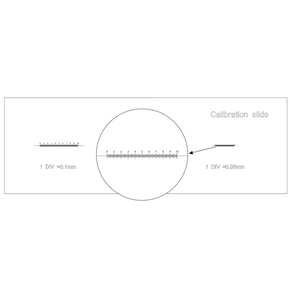 Levenhuk Calibration Slide