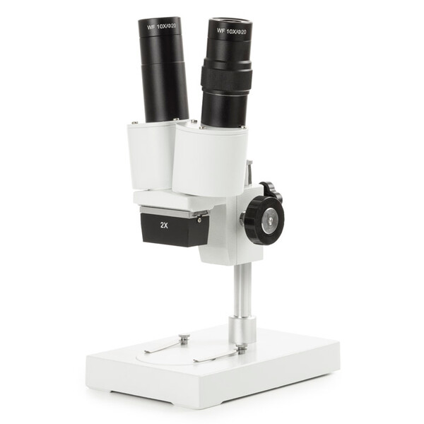 Novex Microscopio stereo Binoculare AP-1