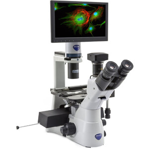 Optika Inverted microscope IM-3LD4D, 6MP, 12" display screen, trino, IOS U-PLAN F, LED-FLUO, LWD, 400x, 4 empty filter slots