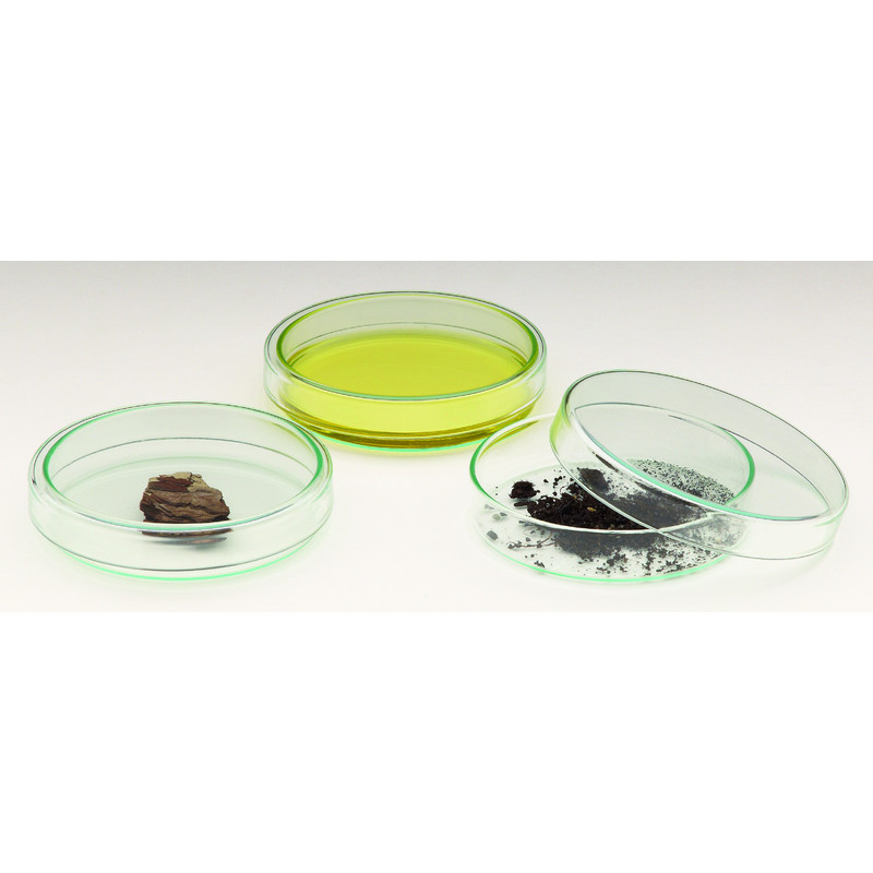 Euromex Microscopio estereo EduBlue 1/3 ED.1302-P, kit de insectos