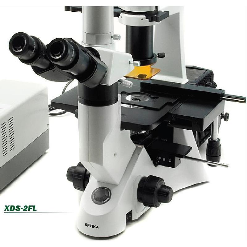 Optika XDS-2FL, Microscopio inverso fluorescente trinocular