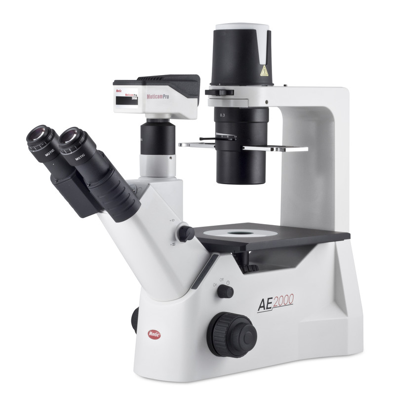 Motic Microscopio invertido AE2000 trino, infinity, 40x-400x, phase, Hal, 30W