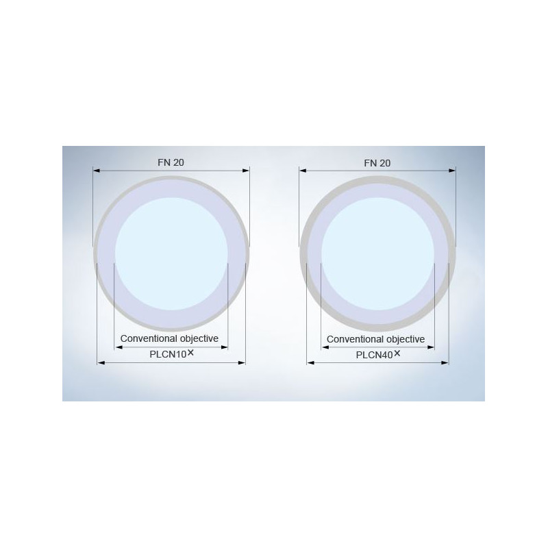 Evident Olympus Microscoop CX31 bino, Hal, 40x,100x, 400x, 1000x