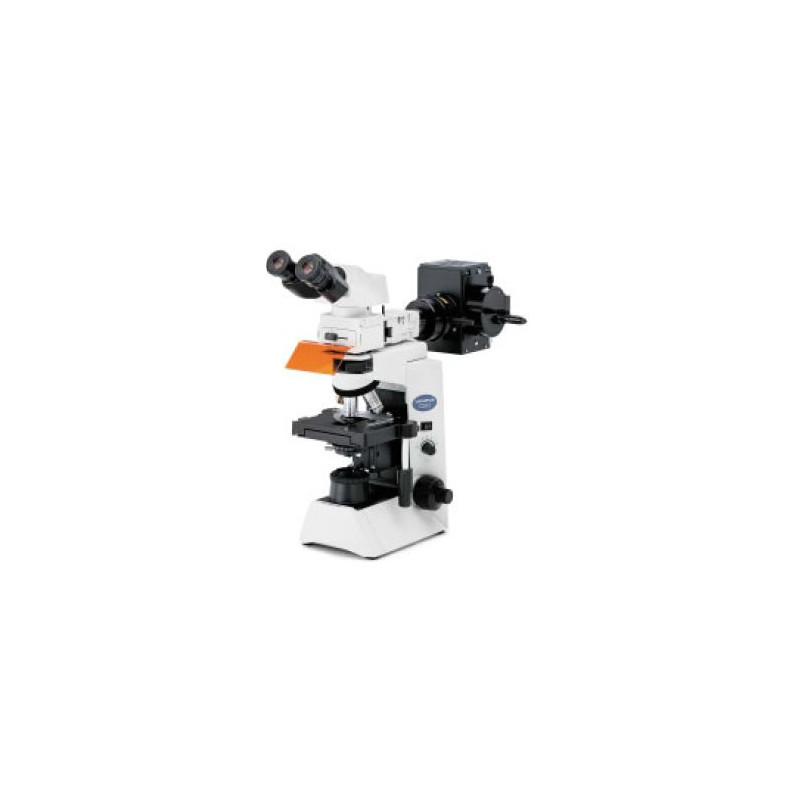 Evident Olympus Microscopio CX41 Fluorescenza, bino, ergo, alogeno, 40x, 100x, 400x