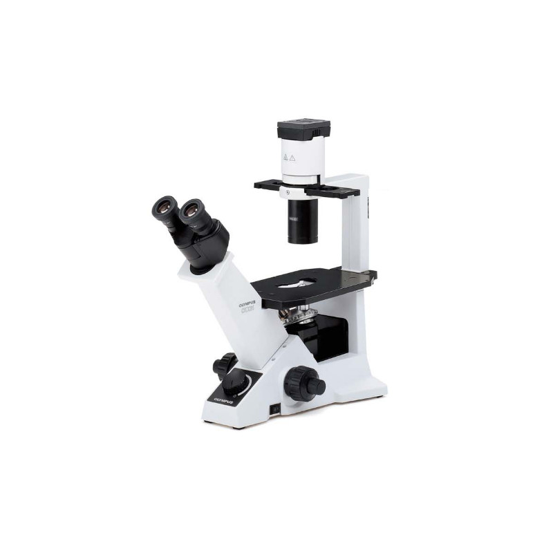 Evident Olympus Microscopio invertido CKX31 Bright Field, Hal, bino, 40x, 100x, 200x, 400x