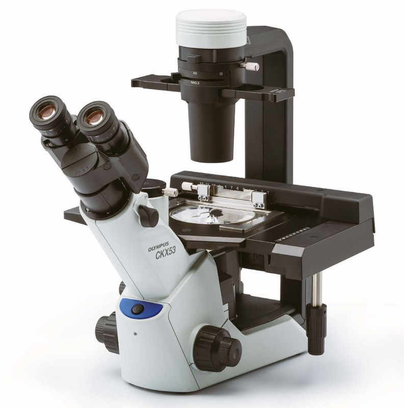 Microscope inversé Evident Olympus Olympus CKX53 avec mise au point manuelle, trino, infinity, plan achro, LED, sans objectifs !