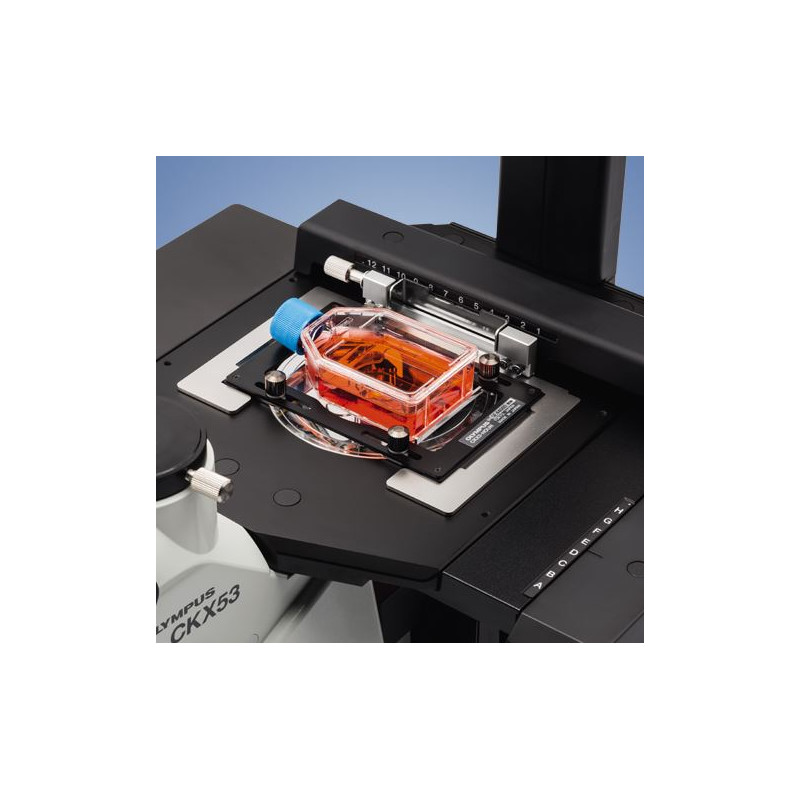 Evident Olympus Microscopio invertido CKX53, trino, 100x, 200x, 400x, IPC/IVC, platina x/y