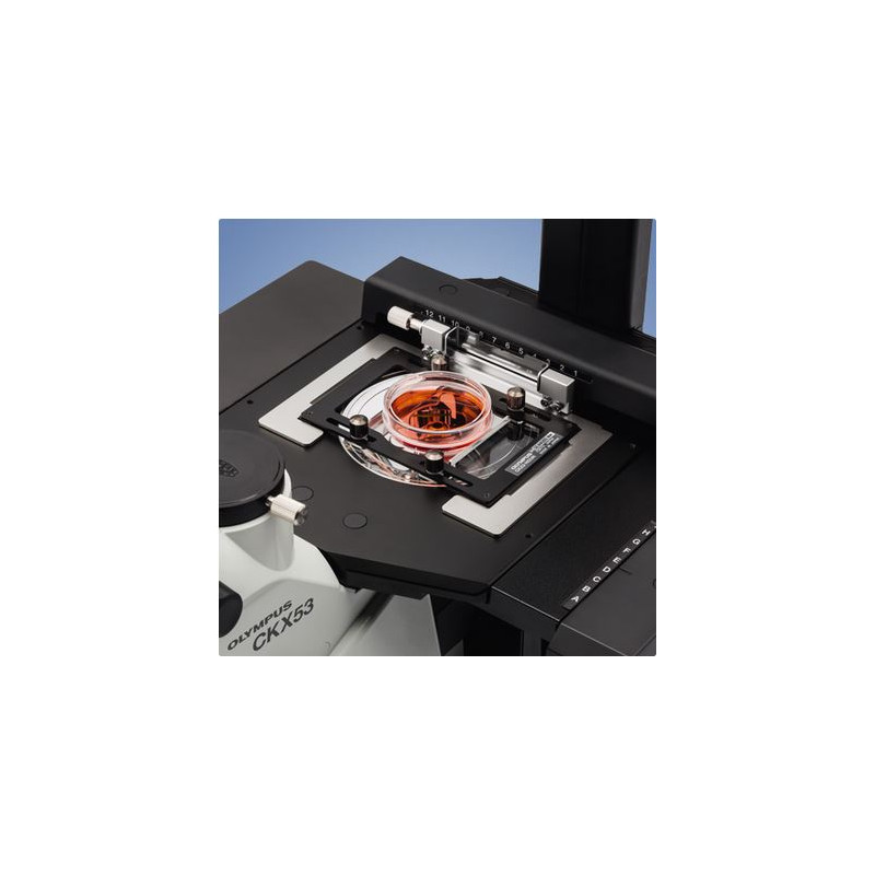 Evident Olympus Omgekeerde microscoop Olympus CKX53 IPC/IVC V1, PH, trino, infinity, achro, 10x, 20x, 40x, LED