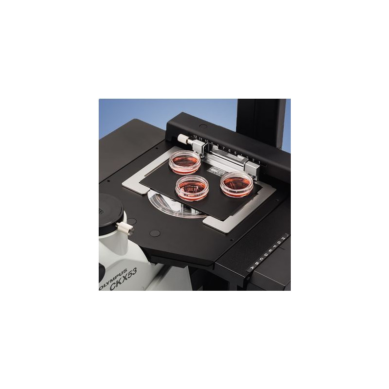 Evident Olympus Microscopio invertido Olympus CKX53 IPC/IVC V1, PH, trino, infinity, achro, 10x, 20x, 40x, LED