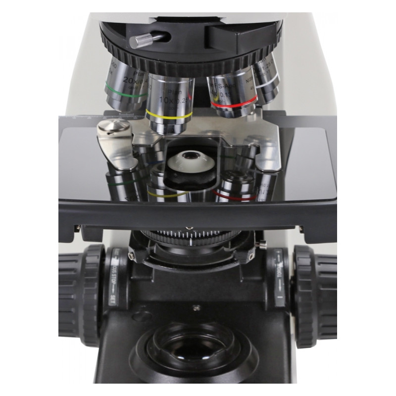 Euromex Microscope DX.1153-PLPHi, phase, trino, infinity, 40x - 1000x