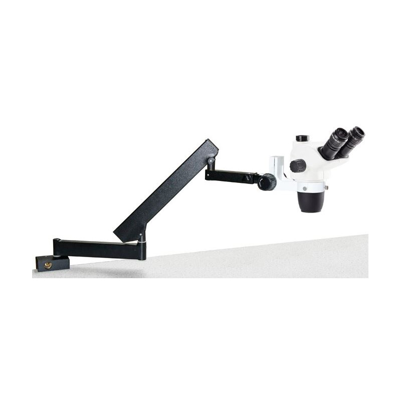 Euromex NZ.1703-AP, NexiusZoom EVO, 6.5x to 55x articulated arm w.table clamp, without illumination, trino