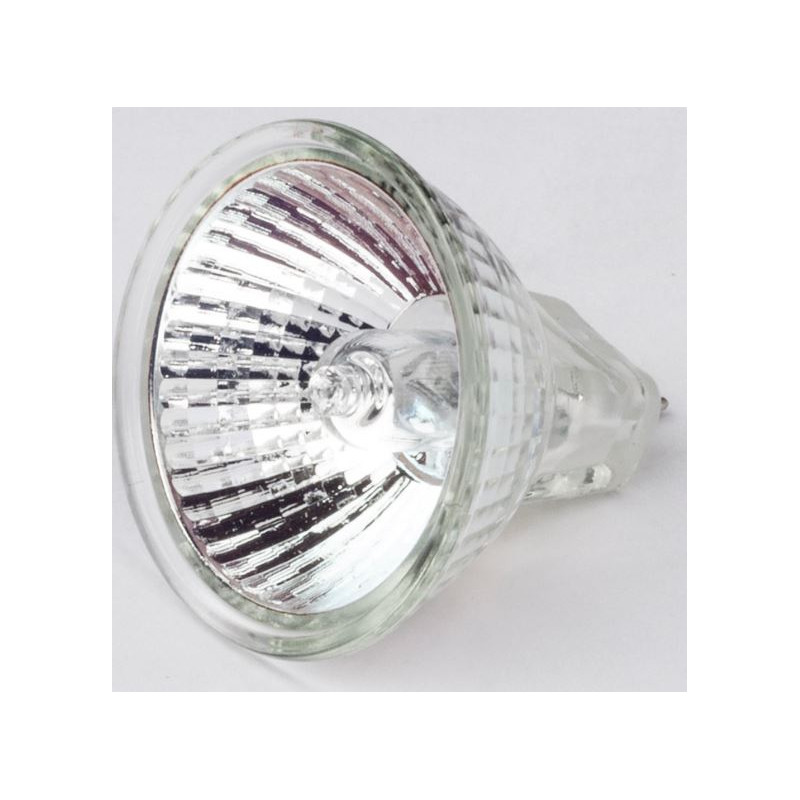 Motic ricambio lampada alogena 12V/10W per stativo R2GG (luce incidente) (SMZ-161)