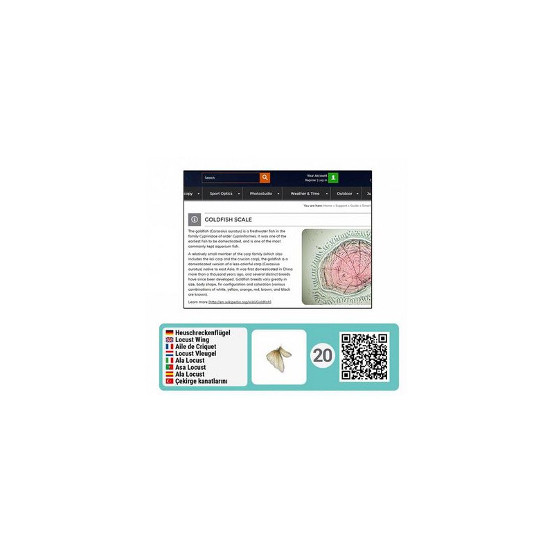 Bresser Junior Kit d'accessoires de microscopie intelligente avec codes QR