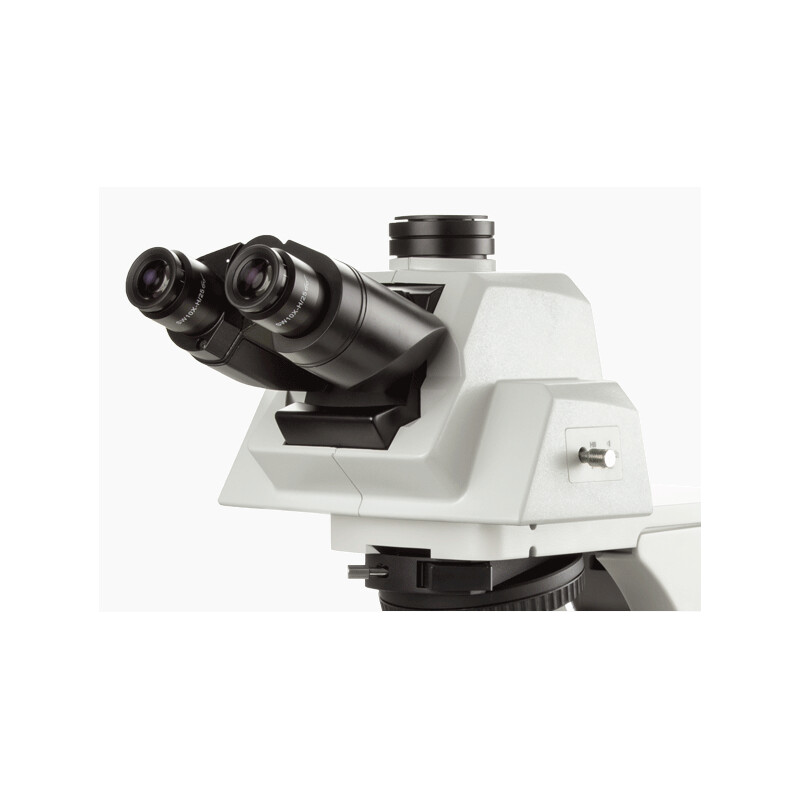 Euromex Microscope Delphi-X, DX.2158-APLi, trino, 40x - 1000x, Plan semi-apochromatic, with ergonomic head and 100W halogen illuminator. head and 100W Halogen illumination