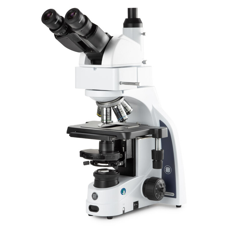 Euromex microscope iScope IS.1159-PLPHi, bino + phototube, infinity, Plan Phase IOS 100x-1000x, 10x/22 DL, Köhler LED