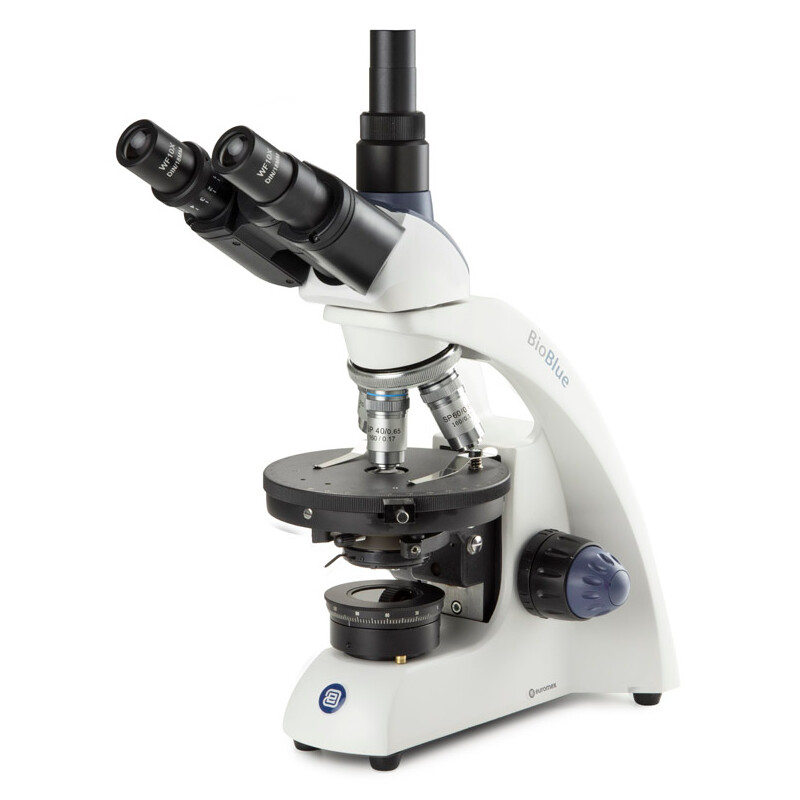 Euromex BioBlue microscope, BB.4243-P-HLED,trino, Pol, DIN, 40x-600x, 10x/18, LED, 1W