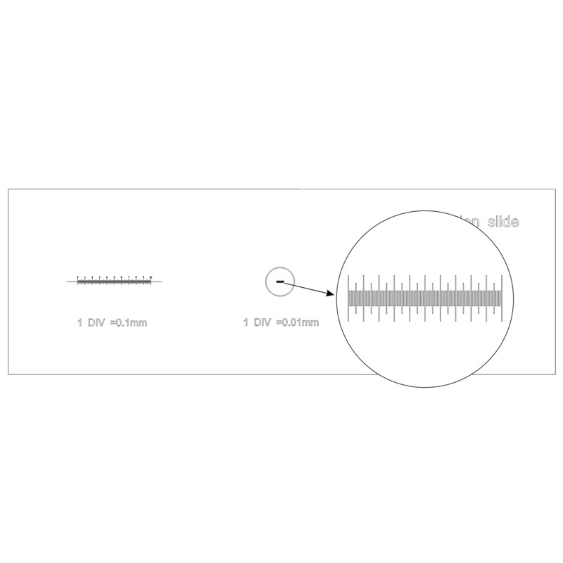 Levenhuk Calibration Slide