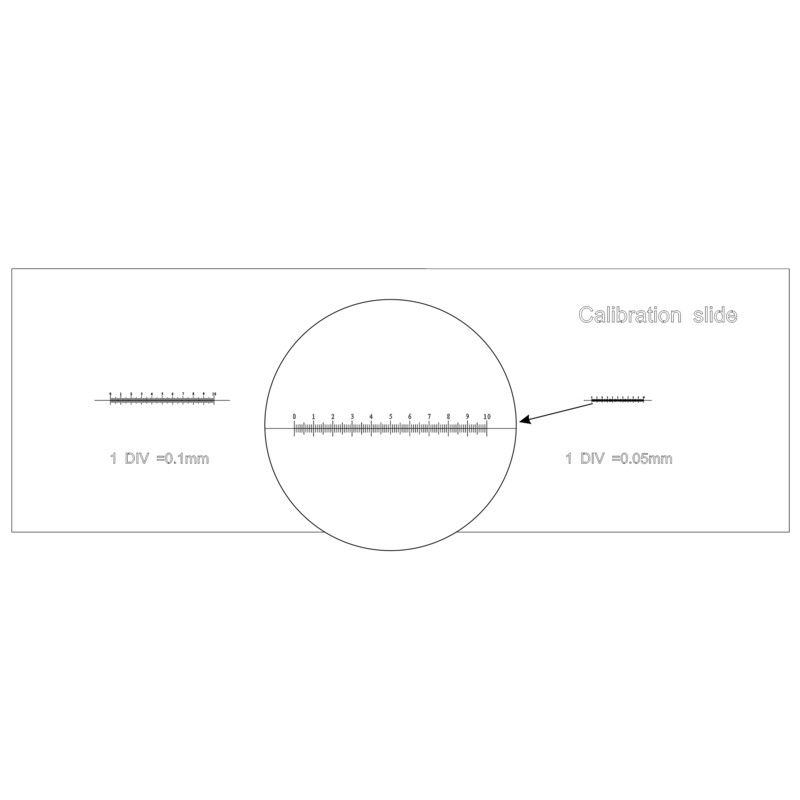 Levenhuk Calibration Slide