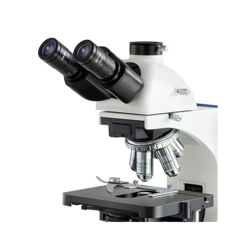 Microscope Kern OBN 159, PH, 1,25 Abbe-Kondensor, infinity, plan, 4x-100x, Dl, 3W LED